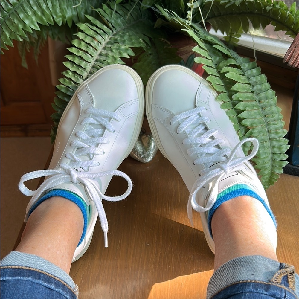Veja White Sneakers Classic Low-Top Design